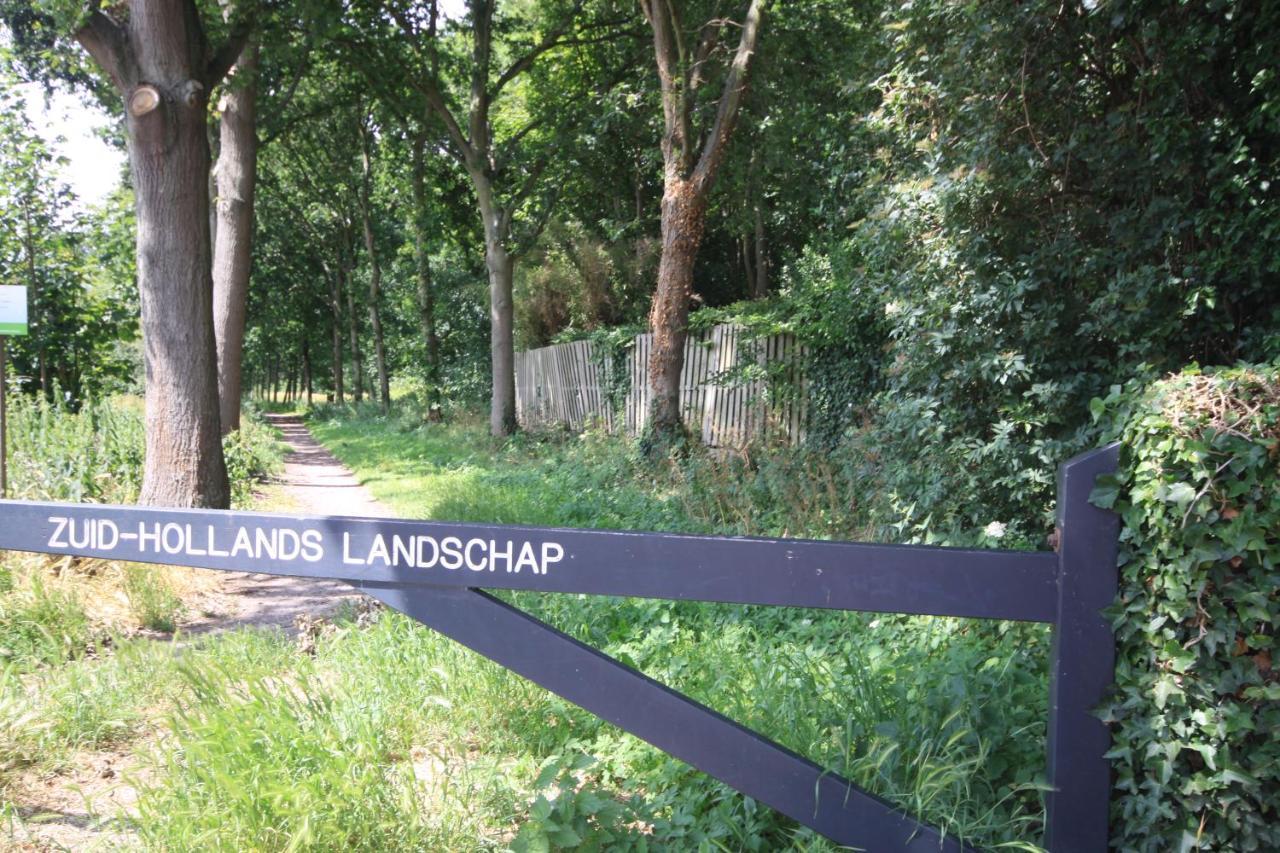 B&B Beach&Bos Oostvoorne Exteriör bild