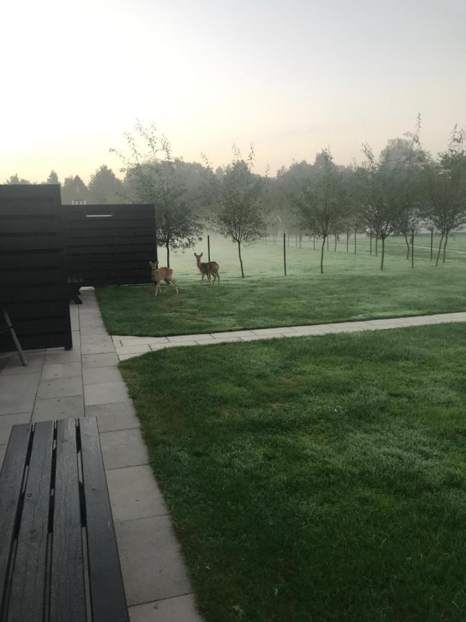 B&B Beach&Bos Oostvoorne Exteriör bild